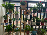 合肥市淮合花园小学开展“赓续雷锋精神 挺膺担当向未来”主题黑板报评比活动
