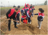 贡献力量  奉献绿色——桐城市金神教育集团校金神中心小学组织开展植树造林活动