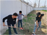 宿州市埇桥区杨庄镇杜楼小学：植树护绿，共建美丽校园