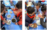 合肥一六八玫瑰园学校南校区：烹饪进课堂 劳动润童心