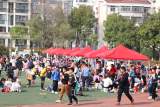 当3·15遇上交换节  合肥市芙蓉小学跳蚤市场培养学生财商