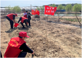 桐城市大关教育集团校龙头学校：争做“劳动小雷锋”