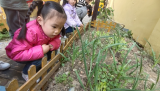 合肥市庐阳实验幼儿园教育集团红玺台总园：播种春天