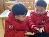 神奇的小手——合肥市双岗幼儿园教育集团悦城分园小四班开展特色活动