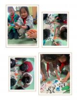 合肥市螺岗小学举行书画艺术展