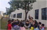 “植”此青绿   “幼”见美好——怀宁县实验小学幼儿园开展植树节主题系列活动