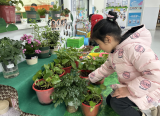 合肥市荣城幼儿园教育集团美丽景湾分园：聚焦自然角，遇见新美好
