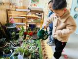 风轻日暖三月天 雷锋精神“幼”传扬 ——合肥荣幼教育集团开展“雷锋日”节日教育活动