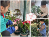 “植”此青绿 孕育希望 ——合肥市竹溪小学开展植树节活动