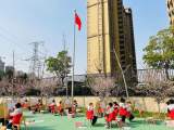 合肥荣幼教育集团丽水分园：一花一世界  童心绘春天