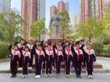 童心温暖春风里 小小雷锋在行动 ——合肥市淮合花园小学开展学雷锋月系列活动