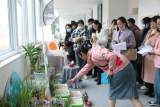 小角落  大自然 —— 怀远县幼儿园开展植物角观摩评比活动         