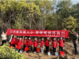 三月春风暖人心 雷锋精神伴我行——合肥市永红路小学三（5）中队开展学雷锋志愿者活动