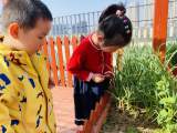 合肥市安庆路幼儿园教育集团城市之光分园：微雨众卉新，一雷惊蛰始