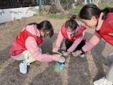 合肥市安慶路幼兒園教育集團(tuán)團(tuán)支部“靈動(dòng)”志愿者團(tuán)隊(duì)深入開展“學(xué)習(xí)宣傳貫徹黨的二十大精神”主題活動(dòng)