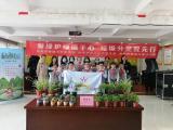 植树节里春光好 爱心科普意义长——合肥市杏林小学四3中队星光小队开展植树环保教育活动