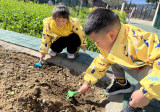  “趣”玩春天 共赴美好——合肥市安庆路幼儿园教育集团桃蹊分园小一班开展班级特色活动