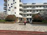合肥市蚌埠路第三小学开展全国中小学安全教育日主题宣传活动