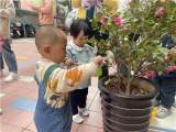 嗨！你好呀，春天！——合肥安幼教育集团早教中心苹果班课程故事