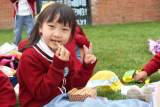 合肥市宿幼教育集团森林城分园：春日漫漫 乐享合柴     