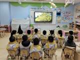 花儿朵朵——庐阳实验幼儿园教育集团四里河畔园开启春天花儿的探究之旅