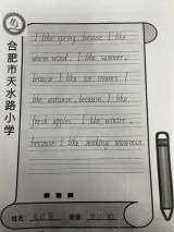 Handwriting Show!——合肥市天水路小学四年级举办英语书写大赛