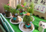 合肥市雙崗幼兒園教育集團源水分園開展班級自然角觀摩活動