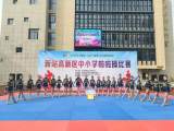 合肥市园上园小学在2023年新站高新区中小学啦啦操比赛中斩获佳绩
