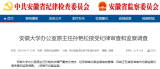 安徽大學(xué)辦公室原主任孫艷松被查