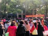 合肥天乐中心第四届微创投开展“探清明 寻春趣 惠民心”主题活动            