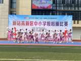 合肥市兴华苑小学在2023年新站高新区中小学啦啦操比赛中获得佳绩