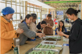 平台上预热  体验感十足——安庆师大一食堂组织百名学生手工包青团