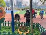 合肥市元一名城小學(xué)黨支部組織黨員教師開展義務(wù)除草勞動