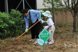 “小手拉大手，绿化小区我先行” 池州市秋浦街道开展亲子志愿服务活动