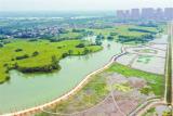 芜湖弋江区：建设“公园城区”