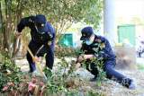 合肥：绿色共建 2000棵树苗将空地装扮成“小森林”