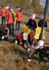 ﻿学雷锋日  旌德40多名志愿者清理“一枝黄花”7000余株