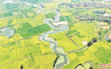 六安孙岗乡：初秋田园 色彩斑斓