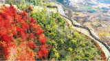 淮北：生态修复 重塑好风景