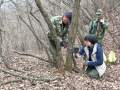 生物多样性优秀案例｜安徽九龙峰省级自然保护区共建共管