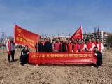 阜阳40余名志愿者 为三月春光增新添绿