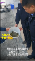 群众发现外来物种鳄龟 太湖警方及时处置