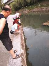 合肥匡河岸咋成了垂钓场？
