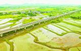 庐江县龙虾游“上岸” 虾田换“绿妆”