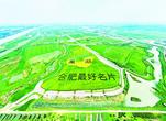 合肥十八联圩生态湿地：水下有鱼 水上有鸟