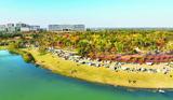 合肥新站高新区建成开放7座公园 市民乐享生态“红利”