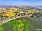  寿县：九里保庄圩 护一方水土 