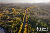 合肥：初冬美景 美不胜收 