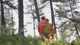 宿州埇桥区老海寺林场护林员：用脚丈量山林 守护一草一木