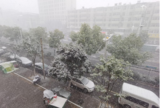 匆匆“猛雪”妆点泉城 